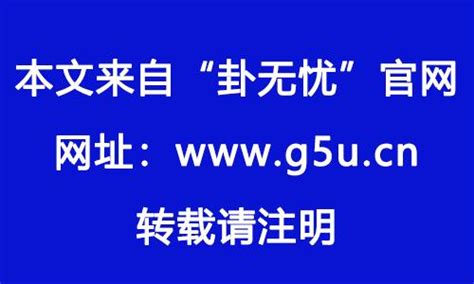 1982年属|1982 年出生属什么生肖